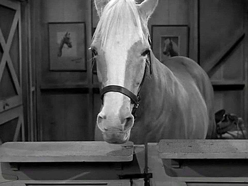 Mr. Ed Staffel 4 Folge 21 HD Deutsch