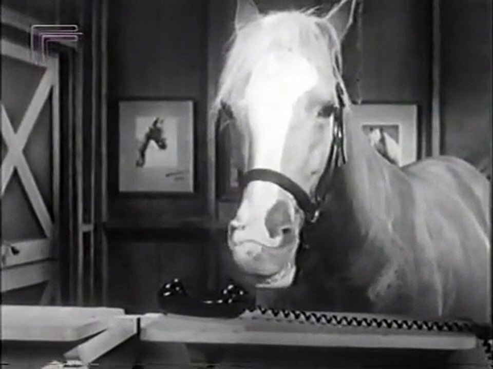 Mr. Ed Staffel 4 Folge 23 HD Deutsch
