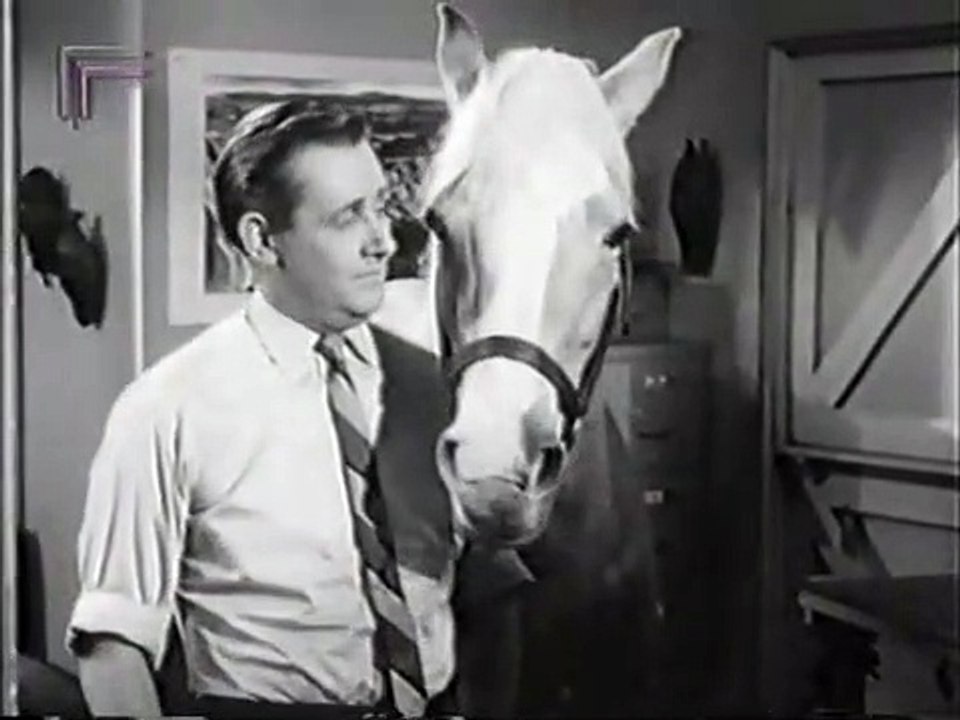Mr. Ed Staffel 4 Folge 20 HD Deutsch