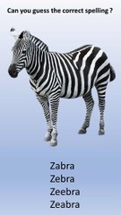 Spelling of the word is correct or not.