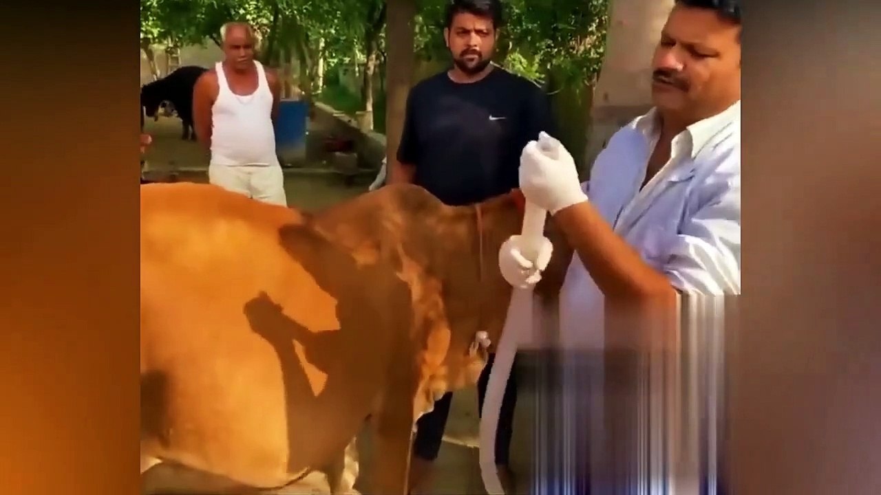 12 Random Acts of Kindness That Will Restore Your Faith In Humanity(720P_HD)