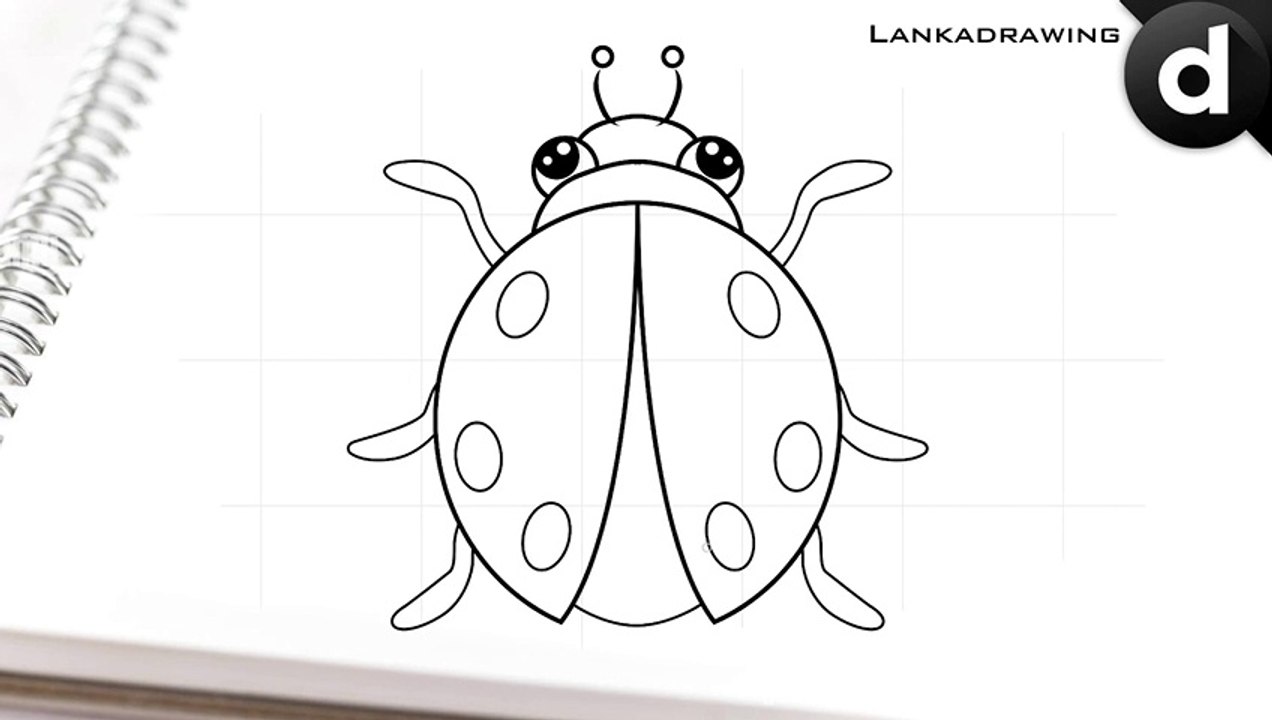learn to draw cute and simple beetles 2