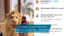 Britney Spears sube video a Instagram de león encadenado y sus fans enfurecen