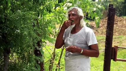 NIDCO OWING FAMILY OVER 10YEARS