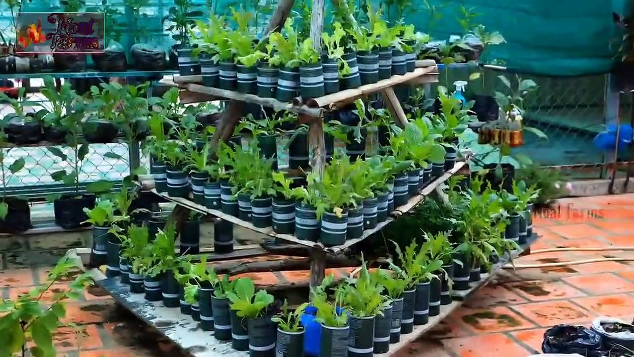 Creative Idea of Growing Vegetable in Bottle _ Amazing Japanese Vegetables Growing Technology
