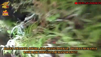 KOMPILASI PENAMPAKAN TERSERAM SAAT MELEWATI HUTAN RIMBA DITENGAH MALAM