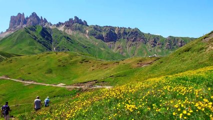 Footage Beautiful Nature and Scenic Landscapes