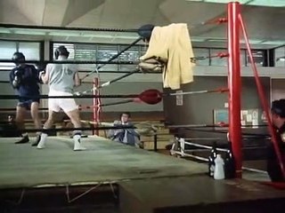 Hawaii Fünf - Null Staffel 8 Folge 12 HD Deutsch