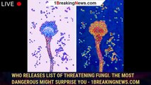 WHO releases list of threatening fungi. The most dangerous might surprise you - 1breakingnews.com