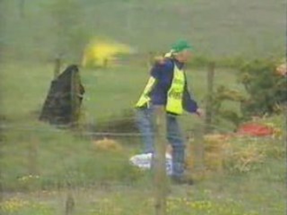 Crash tourist trophy