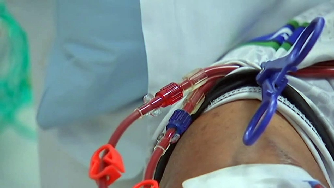 Advocates say Queensland subsidy scheme has fallen behind costs