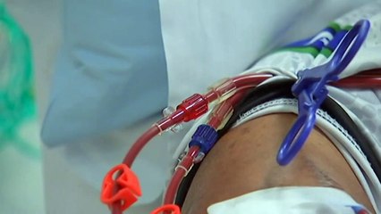 Advocates say Queensland subsidy scheme has fallen behind costs