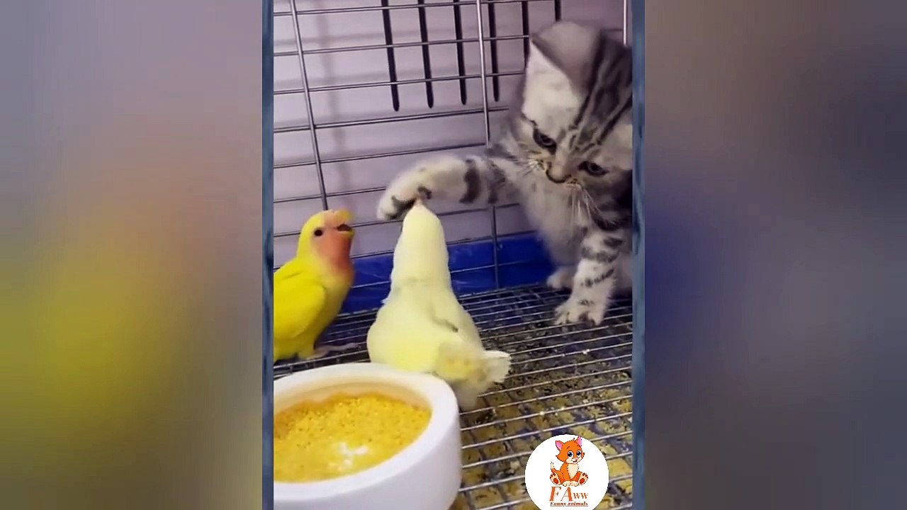 Best baby cats and dogs videos compilation #7 || #2022