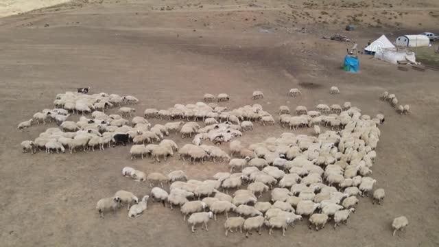 ŞEHİRLERİN LEZZET REKABETİ - Erzincanlılar ve Karamanlılar tulum peynirlerinin lezzetiyle övünüyor