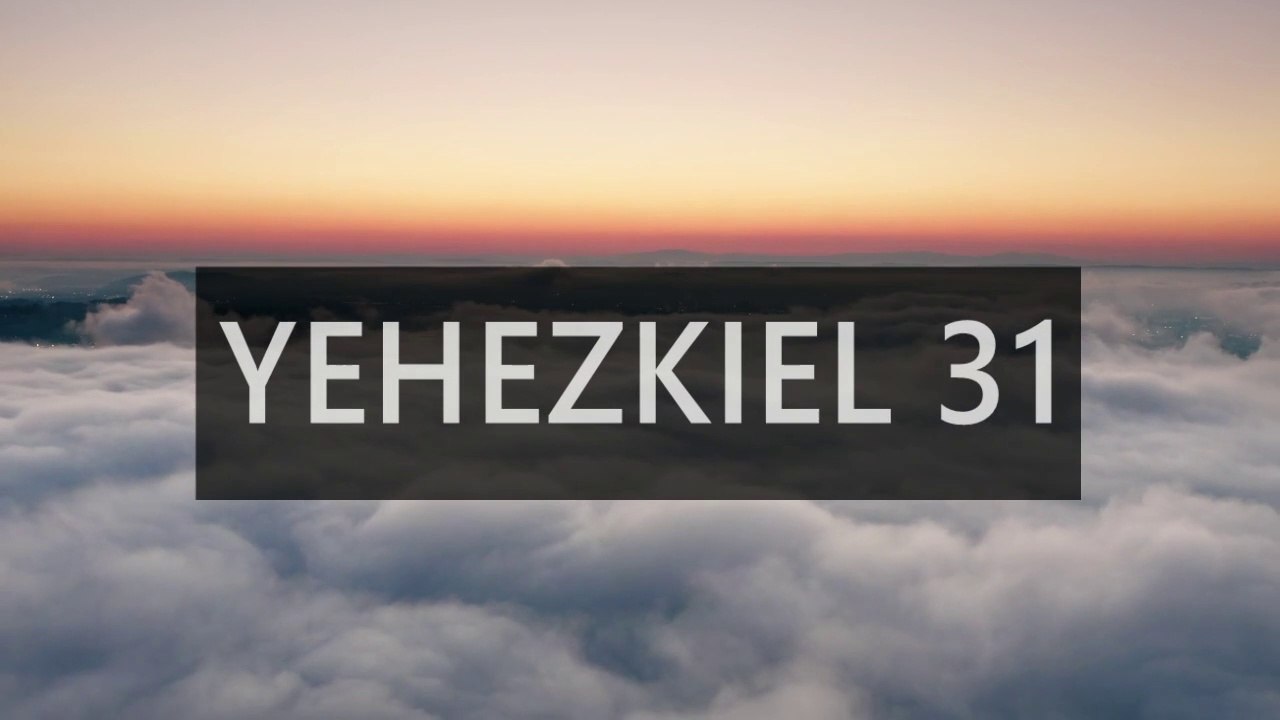 Ayat Alkitab : Yehezkiel 31 : POHON ARAS LIBANON