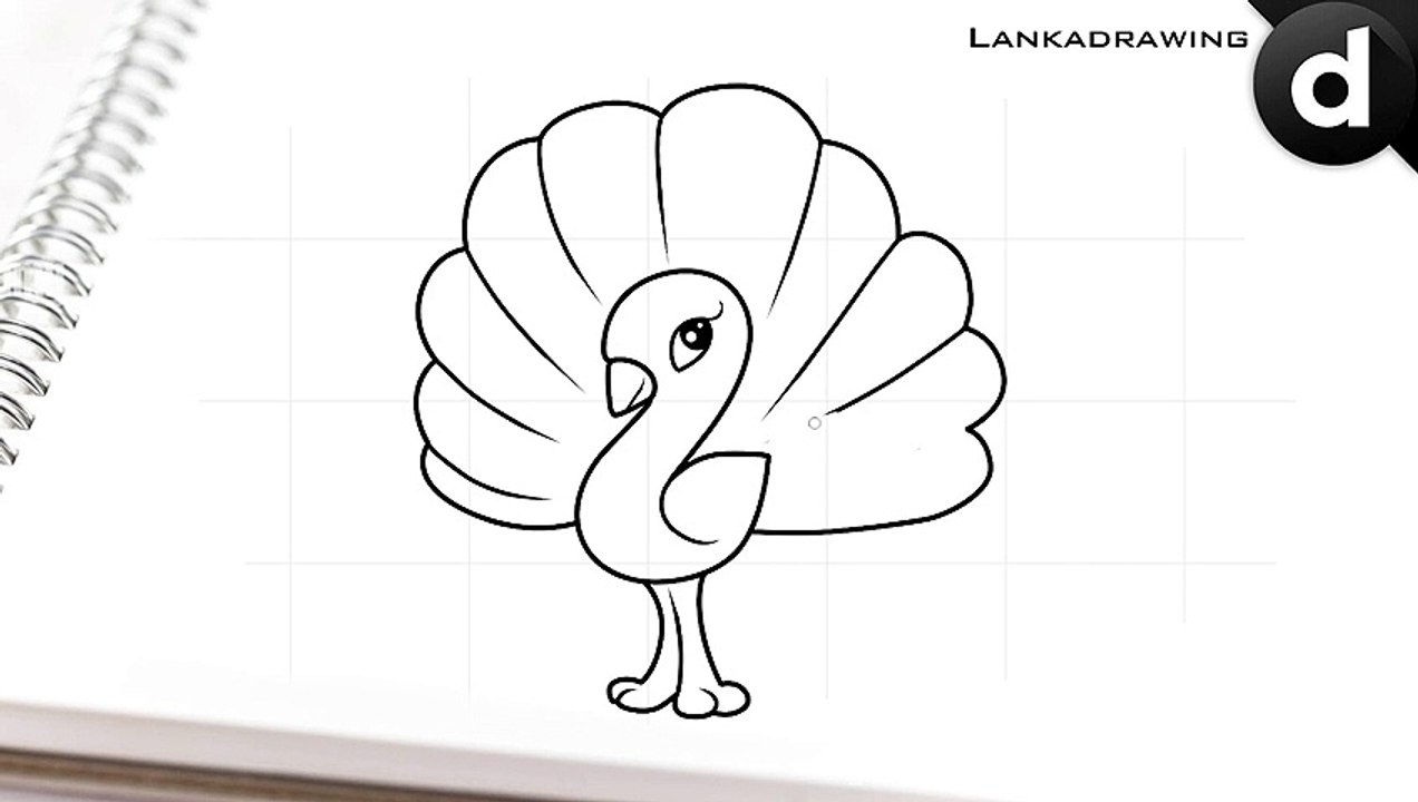 learn to draw a cute and simple peacock 2