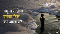 Yamuna River Pollution | राजधानी दिल्लीतील यमुना नदी का फेसाळली? | Sakal Media