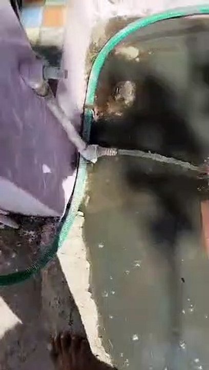 निगम की बड़ी लापरवाही, नलों में आ रहा नाले का गंदा पानी