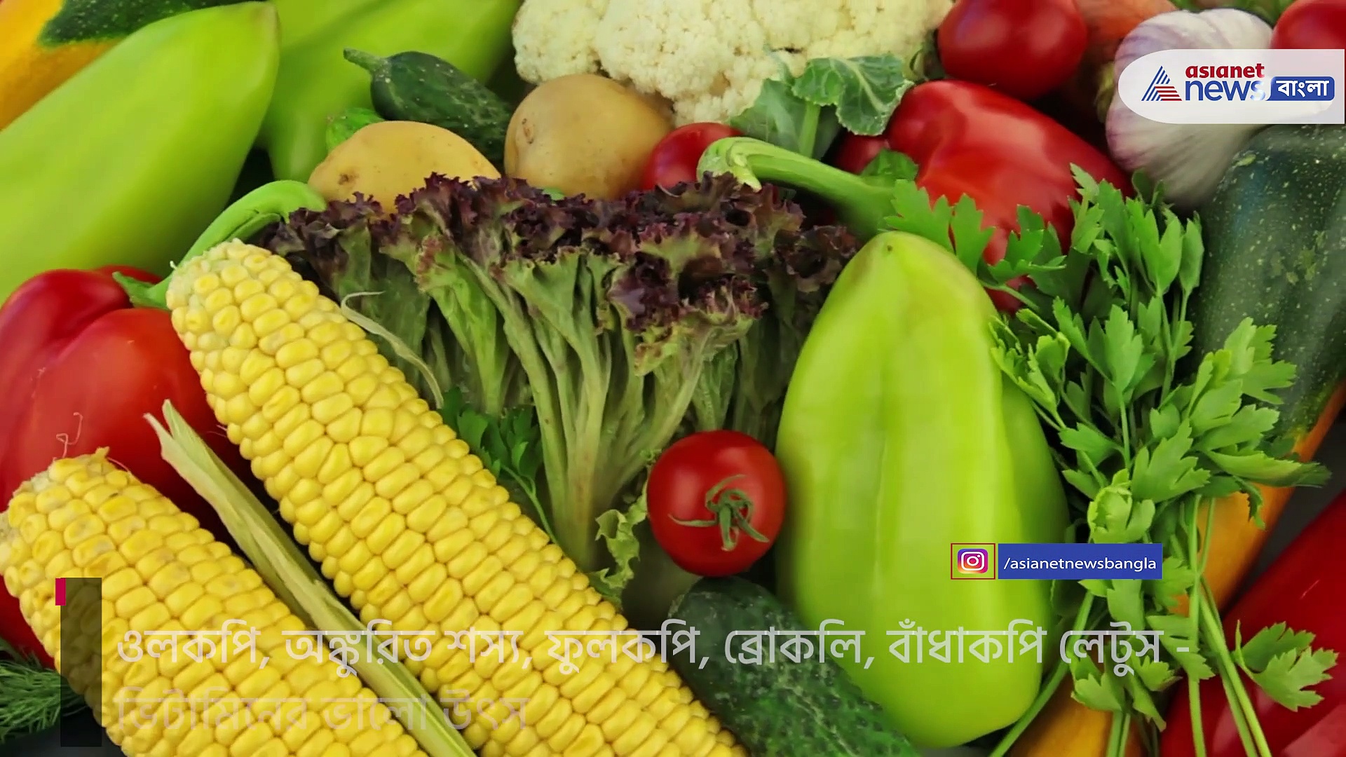 ডেঙ্গির ফলে প্লেটলেট কাউন্ট কমছে, জেনে নিন কিভাবে বাড়াবেন প্লেটলেট কাউন্ট 