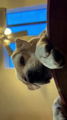 My Phone Are Blowing Up  Ever time Because Of You.