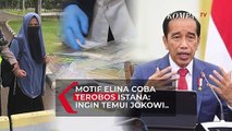 Terungkap Motif Wanita akan Terobos Istana: Ketemu Jokowi Ingin Sampaikan Hal Ini..