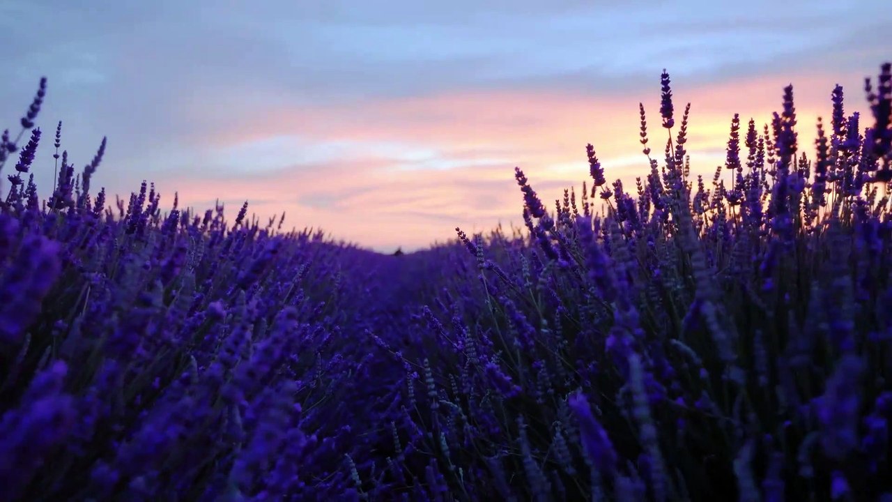 nature relaxing | nature relaxing music | nature relaxing sounds | nature relaxing video | nature relaxing music sleep | nature relaxing music for stress relief | nature relaxing sounds for sleep | nature relaxing music no copyright | nature relaxing 4k