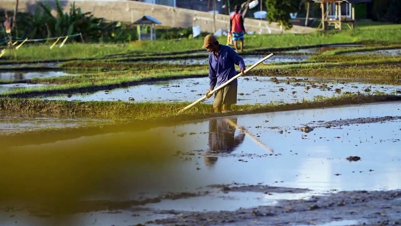 Indonesian Farmers | Dramatic backsound cinematic
