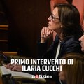 Ilaria Cucchi interviene per la prima volta in Senato