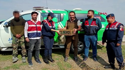 19 saka avladı, cezadan kaçamadı