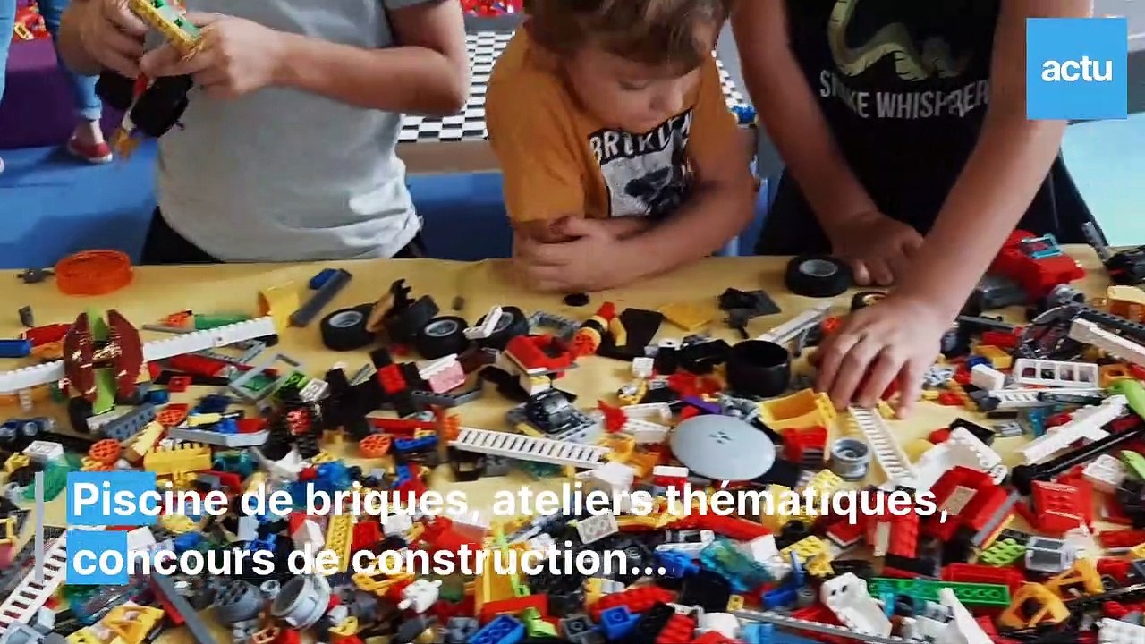 bricklive-dm