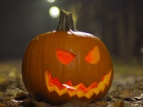 Süßes oder Saures? Der ultimative Guide zu Halloween