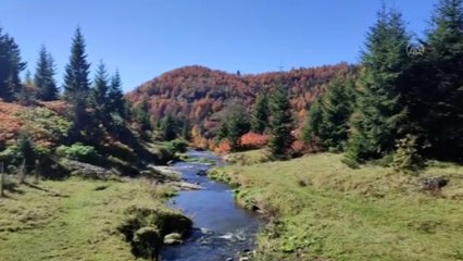 Sis Dağı sonbahar renklerine büründü
