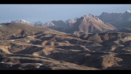 La Panthère des Neiges