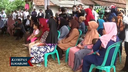 Menteri Atr-Bpn Tinjau Lahan Pisang Cavendish