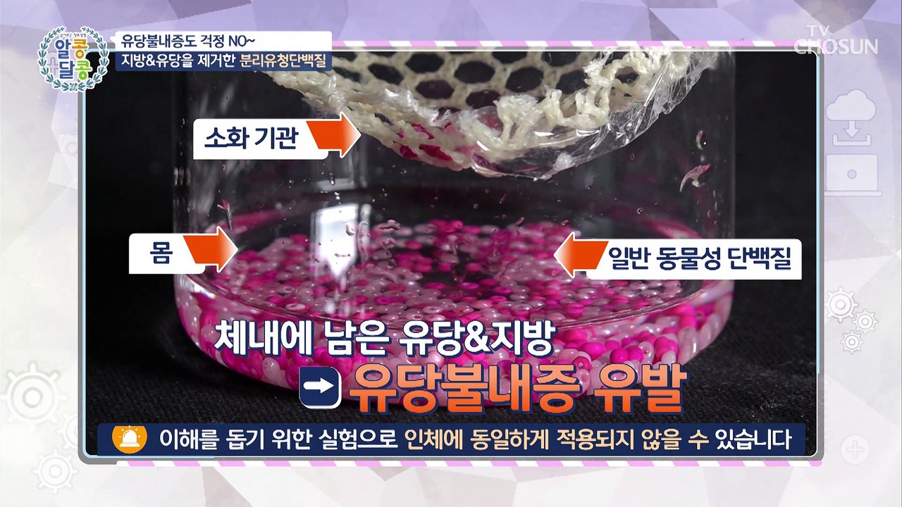 락토프리로 위에 부담이 없는 건강한 ✧분리유청단백질✧ TV CHOSUN 2022102...