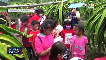 Geraja Ajak Anak Sekolah Minggu Belajar di Kebun Buah Naga