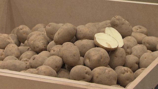 [녹색] 우리 농업 현주소 한눈에...농업박람회 개막 / YTN