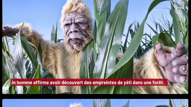 Un homme trouve des empreintes de yéti !