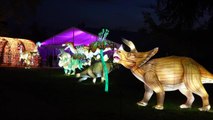 Fransa'daki Hayvanat Bahçesi Büyük Ölçekli Işık Gösterisi Düzenleyecek