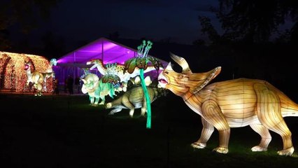 Fransa'daki Hayvanat Bahçesi Büyük Ölçekli Işık Gösterisi Düzenleyecek