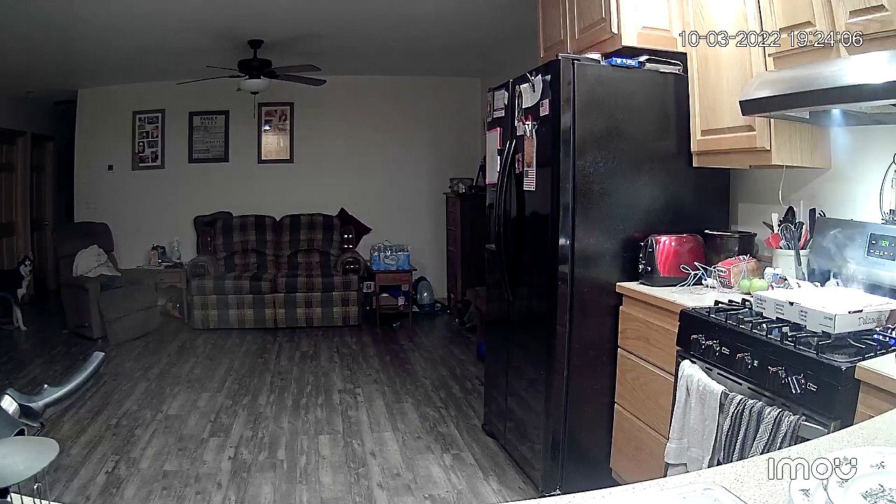 Husky Accidently Causes Kitchen Fire