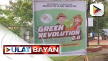 DA-BPI, pinalakas ang kampanya para sa urban gardening sa pamamagitan ng Green Revolution 2.0