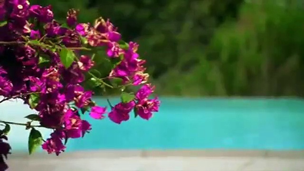 Leah Remini - It's All Relative - Se1 - Ep05 HD Watch HD Deutsch