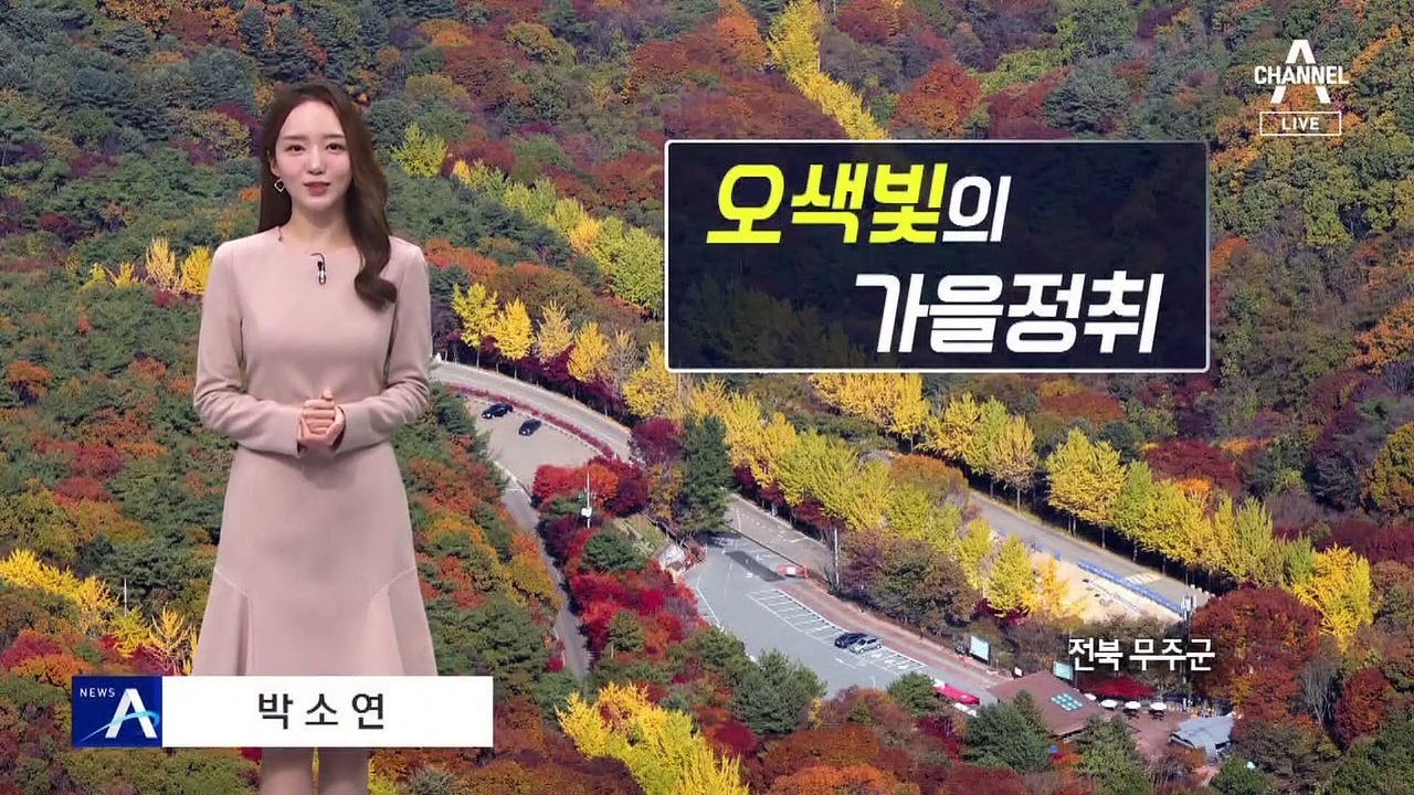 [날씨]출근길 짙은 안개, 큰 일교차 주의…주말까지 동해안 비
