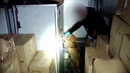 Скачать видео: Tırda 17 kilo 650 gram esrar ele geçirildi