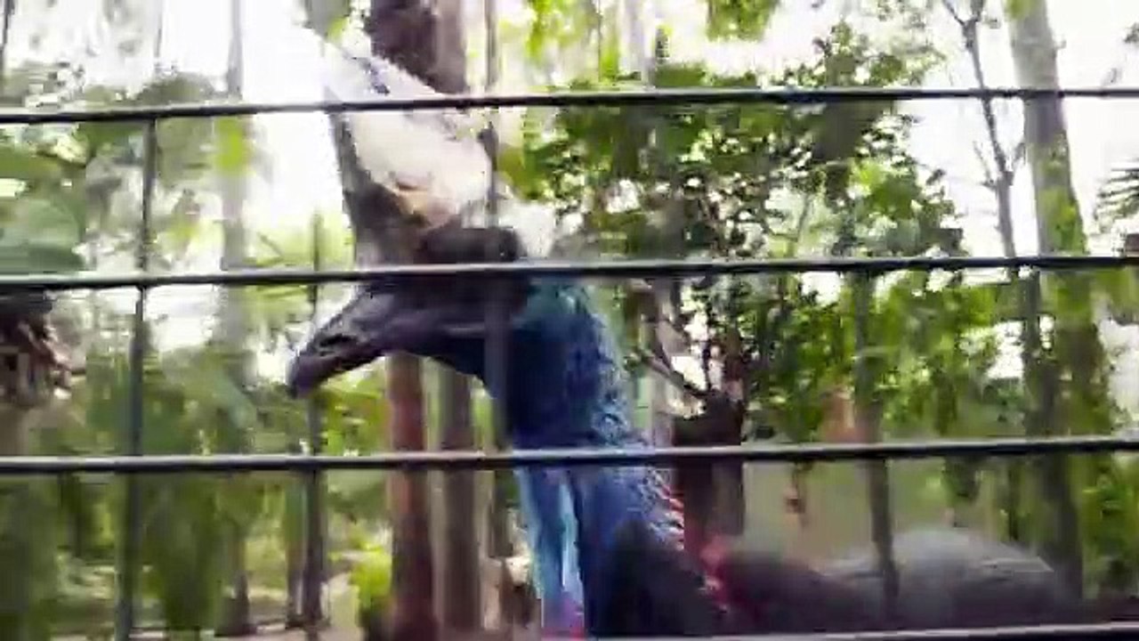 Australia with Julia Bradbury - Se1 - Ep02 - Blue Mountains HD Watch HD Deutsch