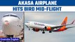 Akasa Airplane hit a bird during flight, lands safely | Oneindia News *News