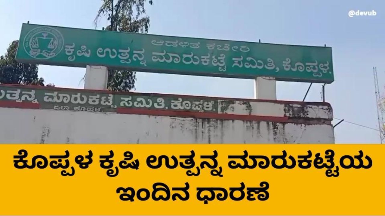 ಕೊಪ್ಪಳ : ಮಾರುಕಟ್ಟೆಯಲ್ಲಿ ನವಣೆ ಧಾರಣೆ ಕುಸಿತ !
