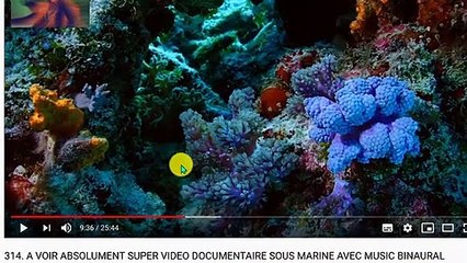 690 COMMENT NOUS VOIENT LES DÉSINCARNÉS MON AMI LE CHEVALIER ME l ' A DIT..