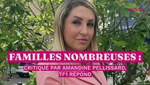 Familles Nombreuses : critiqué par Amandine Pellissard, TF1 répond
